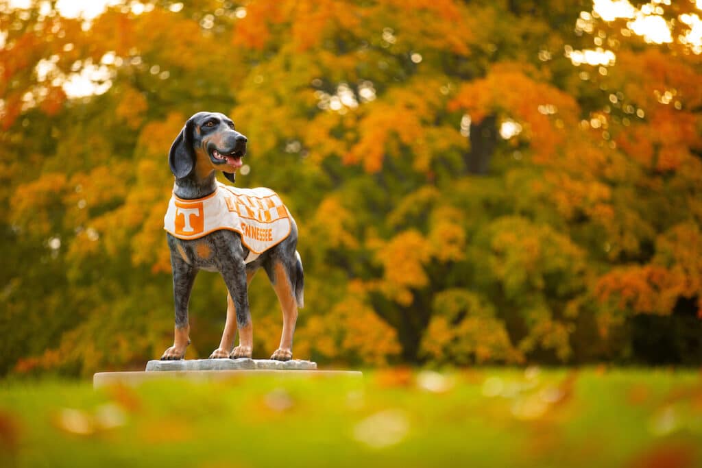 Smokey statue in front of fall foliage
