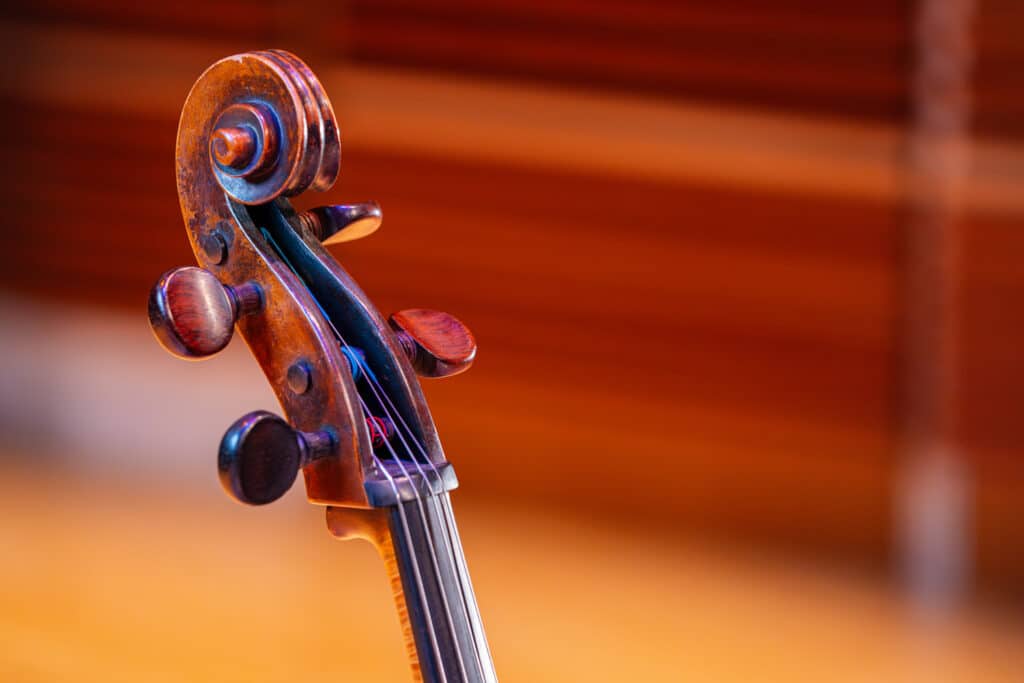 Close up of cello