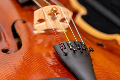 Orchestral,Musical,Instrument,Viola.,Instrument,In,The,Foreground for Localist feed
