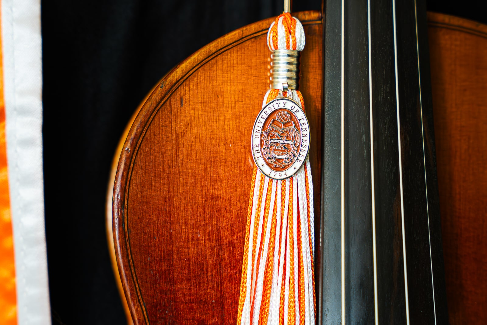 close up of string instrument with TN emblem.